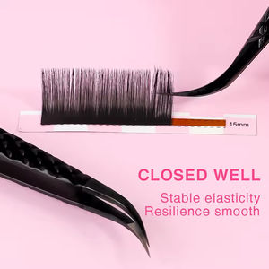 Usine de pinces à cils volumineuses personnalisées offrant des commandes en gros, une personnalisation gravée et des outils professionnels de qualité salon pour les artistes des cils - Product Image 4