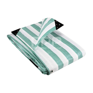 Bâche de bâche de différentes couleurs de qualité forte pour la bâche de revêtement d'étang bâche de couverture de voiture bâche de camion de Garage bâche de PE verte - Product Image 1