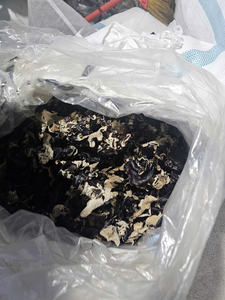 Champignons noirs séchés (Wood Ear) pour la restauration et l'emballage de détail - Product Image 6