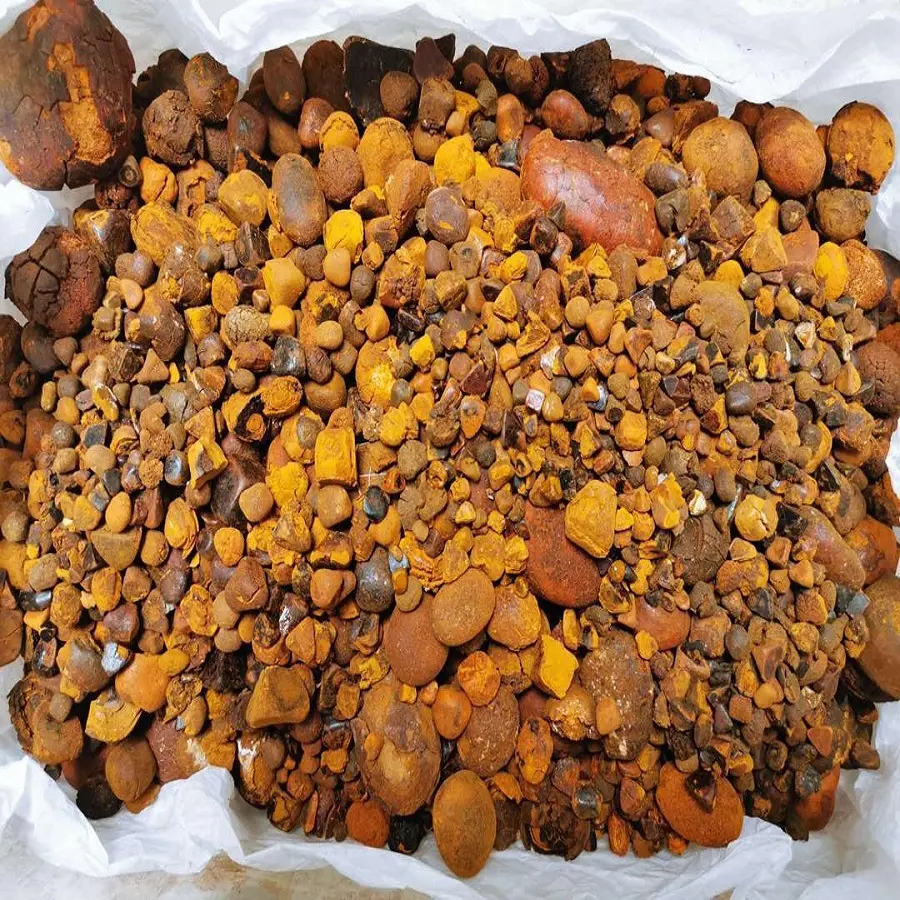 Quality Dried Cow Ox Gallstones / Cattle gallstones for sale