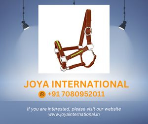 Halter équestre Bling cuir Cognac vert clair Vente en gros Licou de cheval de haute qualité plié - Product Image 2