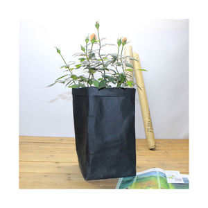 Rouleau Jumbo de papier doublure plantes kraft vierge - Product Image 3