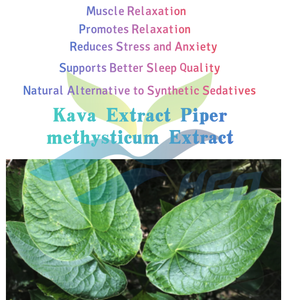 Suministro directo de fábrica HGO de extracto de kava natural puro, extracto de Piper methysticum (grado alimenticio), especificación 10:1 (proporción de extracto) - Product Image 5
