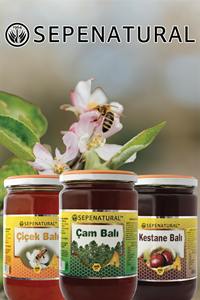 Miel de châtaigne 100% pur Sepe Natural 850g en pot Mason |   Miel liquide biologique de qualité supérieure de forêt turque, qualité alimentaire, en vrac, 24 mois - Product Image 6