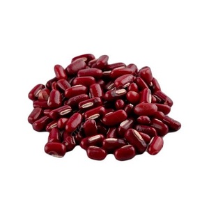 Venta al por Mayor de Frijoles Rojos Oscuros Secos, Cultivar Común, Procesados con Método AD, a Granel, 25 kg, Tailandia - Product Image 3