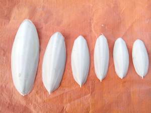 ปลาหมึก100% ปลาหมึกแบบแห้งจากเวียดนาม - Product Image 2