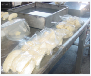 PECHOS DE FRUTO DE PAN CONGELADOS A BASE DE PLANTAS LIMPIAMENTE PROCESADOS - Product Image 3
