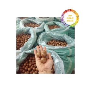 Hạt <span class=keywords><strong>Macadamia</strong></span> Chất lượng cao tươi và giòn hoàn hảo cho những người yêu thích đồ ăn nhẹ lý tưởng cho cung cấp số lượng lớn xuất khẩu bán buôn với giá tốt - Product Image 1