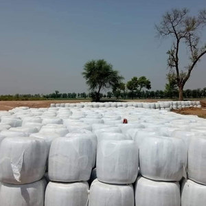 อาหารสัตว์เพื่อสุขภาพ ข้าวโพดหมักคุณภาพสูง อาหารสัตว์สีเขียว ข้าวโพดหมักสำหรับสัตว์นม สั่งซื้อข้าวโพดหมักจำนวนมาก - Product Image 2
