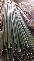 Poteau en bambou jaune de haute qualité, piquets en bambou pour plantes, support de canne en bambou