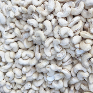 ราคาเม็ดมะม่วงหิมพานต์จากโรงงานซานติโก ขายส่ง ราคาถูก รุ่น WW240 ผลิตในเวียดนาม รับผลิตแบบ OEM ODM พร้อมบรรจุภัณฑ์ - Product Image 1