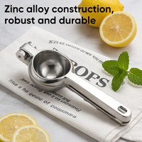 Robuuste handmatige aluminium citruspers met duurzame, professionele handgreep en roestvrijstalen messen voor citroenen en limoenen.