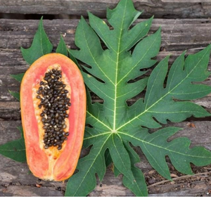 Feuilles de papaye naturellement séchées au soleil: des fermes durables à votre routine de bien-être - Product Image 2