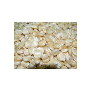 Maíz Blanco disponible para suministro a granel con entrega rápida y calidad premium - Product Image 3