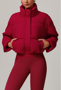 Doudounes imperméables personnalisées pour hommes et femmes 100% Manteau d'hiver Streetwear - Product Image 2