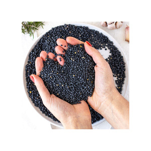 Lentilles noires béluga biologiques en vrac Lentilles rouges vertes séchées Chana Dal-pour usage alimentaire directement du fournisseur en gros - Product Image 3