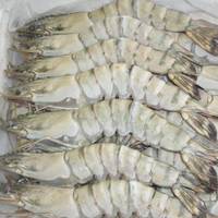 Grossistes de crevettes géantes noires surgelées IQF entières, exportateurs au prix compétitif depuis le Vietnam