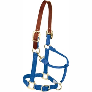 Nouveau 2025 sur mesure qualité professionnelle course cheval licou PP corde licou et collier de tête de cheval - Product Image 1