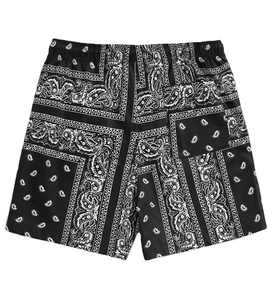 2025 Trending Custom Plus Size Double <b>Layer</b> Paisley Mesh 5 Inch Inseam Youth Basketball Bandana Print Men's Shorts - Product Image 2