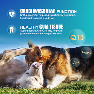 Coq10 לב בריא Q10 לב בריא ותוספת הזדקנות בריאה לכלבים וחתולים תוספת טיפות - Product Image 4