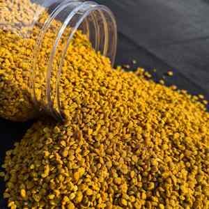 Tamaños de Bolsas Personalizados, Empaque en Botellas, Stock Fresco y Muestras Gratis, Polen de Abeja de Habas de Grado Alimenticio - Suministro Directo de Fábrica al por Mayor - Product Image 6