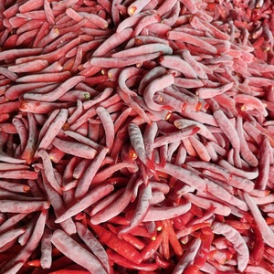 Chiles rojos congelados IQF de alta calidad y invernadero de pimientos largos cultivados para condimentos picantes, precio competitivo - Product Image 2
