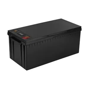 Lifepo4 Battery Pack 12V 24V 200Ah 300Ah 400Ah for Lithium Rv Battery Camping Caravan AGV UPS Storage Battery