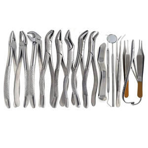 Juego de 15 instrumentos dentales: Elevadores, fórceps, espejos, sondas, exploradores, pinzas endodónticas, punzones de acero inoxidable - Product Image 3