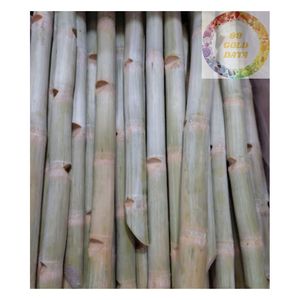 Caña de azúcar verde congelada de Vietnam, jugosa fresca y perfecta para la extracción de jugo y la producción de batidos en todo el mundo - Product Image 3