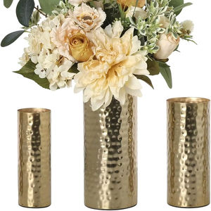 Maceta de Metal personalizada de gama alta, maceta decorativa de jardín al mejor precio para el hogar, restaurante, decoración de Hotel para macetas y macetas - Product Image 1