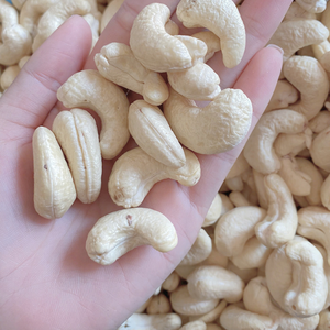 Noix de cajou Offre Spéciale WW180 Prix Noix de cajou biologiques Usine Santigo au Vietnam Emballage de marque privée disponible - Product Image 1