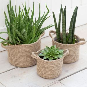 Macetero de Macramé Premium para Decoración de Jardín en Balcón, con un Toque Artístico y Diseño Artesanal de Algodón - Product Image 4