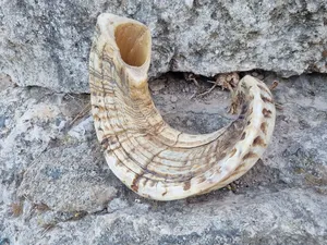 Par de cuernos largos decorativos de alta calidad hechos a mano con patrón único para estilo de cabaña y cabaña a precio mayorista - Product Image 2