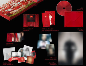 JENNIE - [ RUBY ] 1er album studio (PHOTOBOOK - VERSION JANE.) Album KPOP Best Seller en Corée - Product Image 5