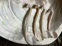 Cuillère en coquillage du désert écologique avec bougie sculptée à la main, cuillère en coquillage du Vietnam, grossiste