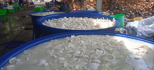 เนื้อมะพร้าวแช่แข็ง - Product Image 5