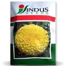 Semillas INDUS de Caléndula 'Tenis Ball' (Pétalos Amarillo Limón), Flores Frescas Cortadas con Alto Rendimiento, Semillas Genda Fool - Product Image 1