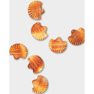 Perles de coquille d'huître barbelée - Product Image 1
