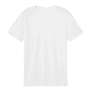 T-shirt à vendre et Next Level Private Label Printing Logo Men T Shirt - Product Image 1