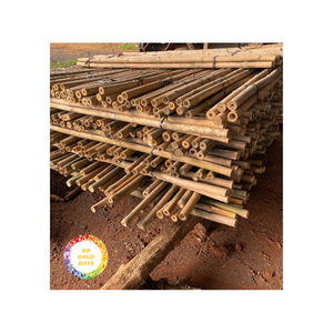 Poteaux en bambou fabriqués au Vietnam-Idéal pour les installations événementielles et agricoles-Naturel et durable - Product Image 3