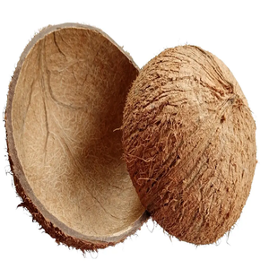 Coques de noix de coco brutes pas chères en provenance du Vietnam, pour l'Europe / la Turquie - Product Image 1