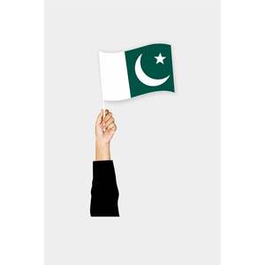 Pennant Flags <b>Banners</b> Handmade Pakistan National Flag in Cotton & Silk for Automotive Insurance Education Travel Agency - Product Image 1