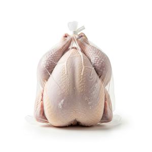 Pollo Entero Congelado Halal a Granel, Listo para Entrega, Empacado Cuidadosamente para Preservar el Sabor y los Nutrientes - Product Image 1