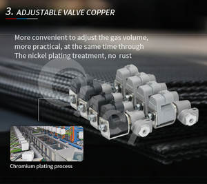 ACT CNGレール変換キットAutogas Cng 4気筒インジェクターレールガス装置自動車Cngインジェクターレール用 - Product Image 6