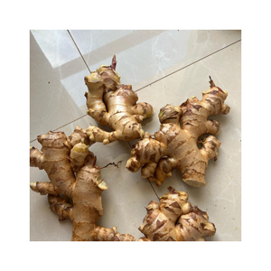 Jengibre limpio y fresco con textura firme, fuerte aroma picante, larga vida útil, empaquetado a pedido para mercados de exportación y negocios de alimentos - Product Image 2