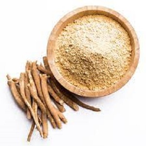 Extracto de planta de Ashwagandha 10% polvo de extracto de raíz de Ashwagandha orgánico de etiqueta privada - Product Image 3