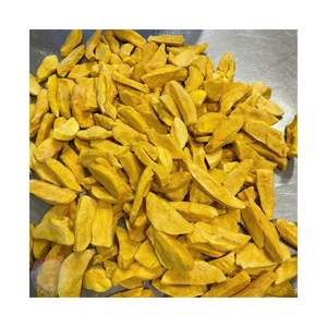 มะม่วงอบแห้งแบบแช่แข็ง วัตถุดิบมะม่วงพรีเมียมจากทรอปิคอล ออกแบบมาสำหรับขนมขบเคี้ยว อบขนม ตกแต่ง และส่งออกจากเวียดนาม - Product Image 1