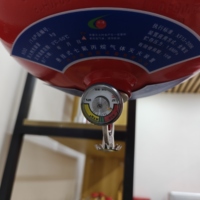 Extincteur à gaz suspendu FM200, matériau en acier, agent moussant en volumes de 10L/20L/30L, équipement de lutte contre l'incendie