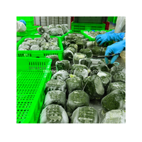 Melon amer congelé/Feuilles de courge amère Emballage en vrac de haute qualité 0.5kg du Vietnam-KIM MINH INTERNATIONAL