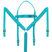 Ensemble de serre-tête et de collier de poitrine en cuir Western Horse léger personnalisé perlé design saisonnier Horse Ridding Equipment ange win